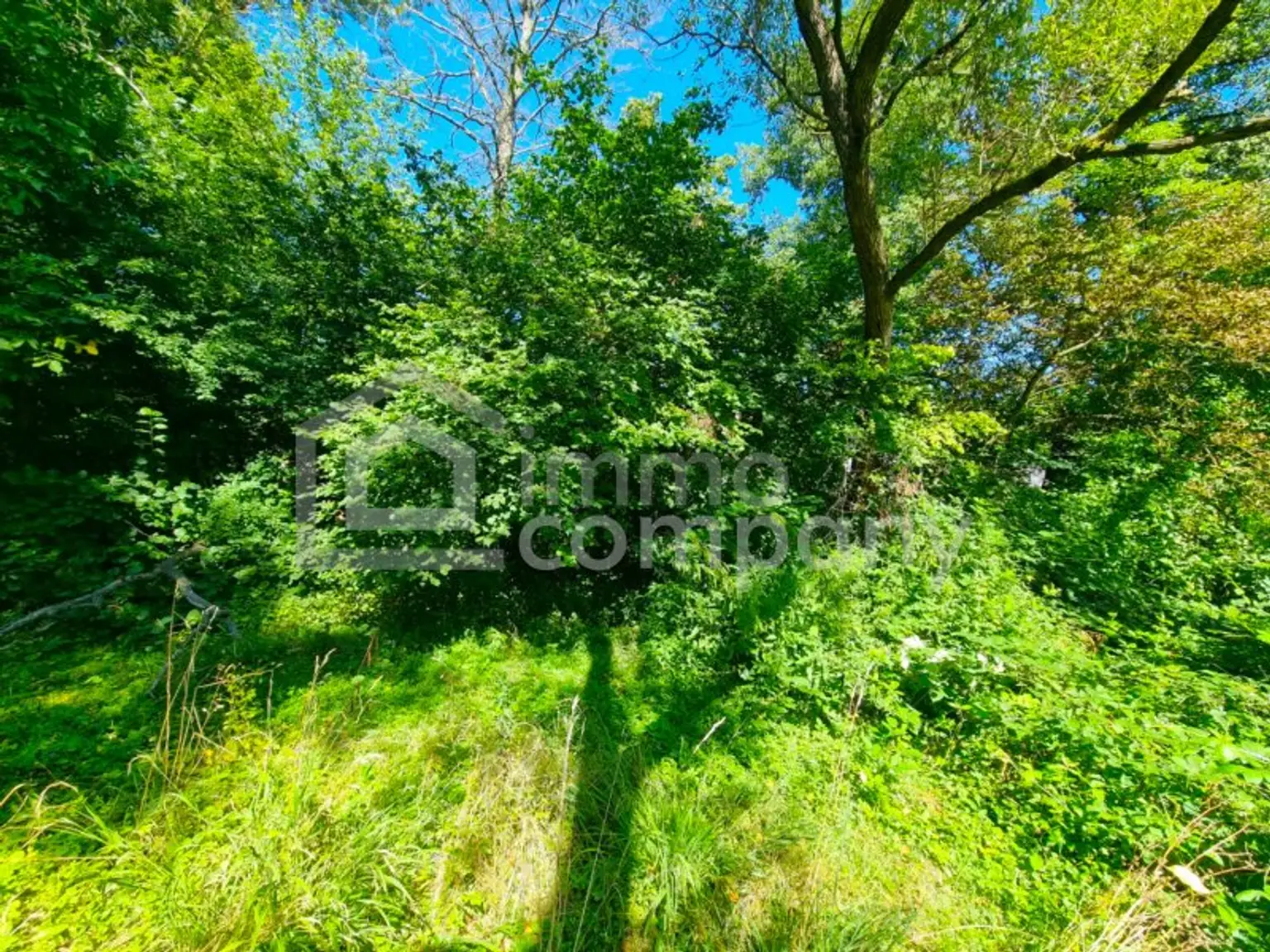 Großes Baugrundstück mit Altbestand vor den Toren Wiens. Bauträger aufgepasst! 1.000 m² bebaubare Fläche
