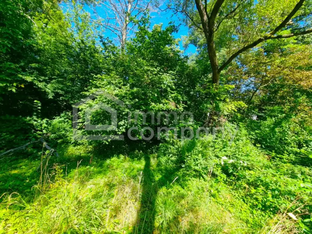 Großes Baugrundstück mit Altbestand vor den Toren Wiens. Bauträger aufgepasst! 1.000 m² bebaubare Fläche