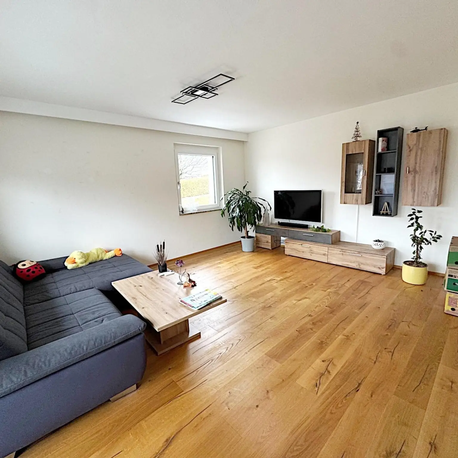 SO169_IMS_Wohnzimmer