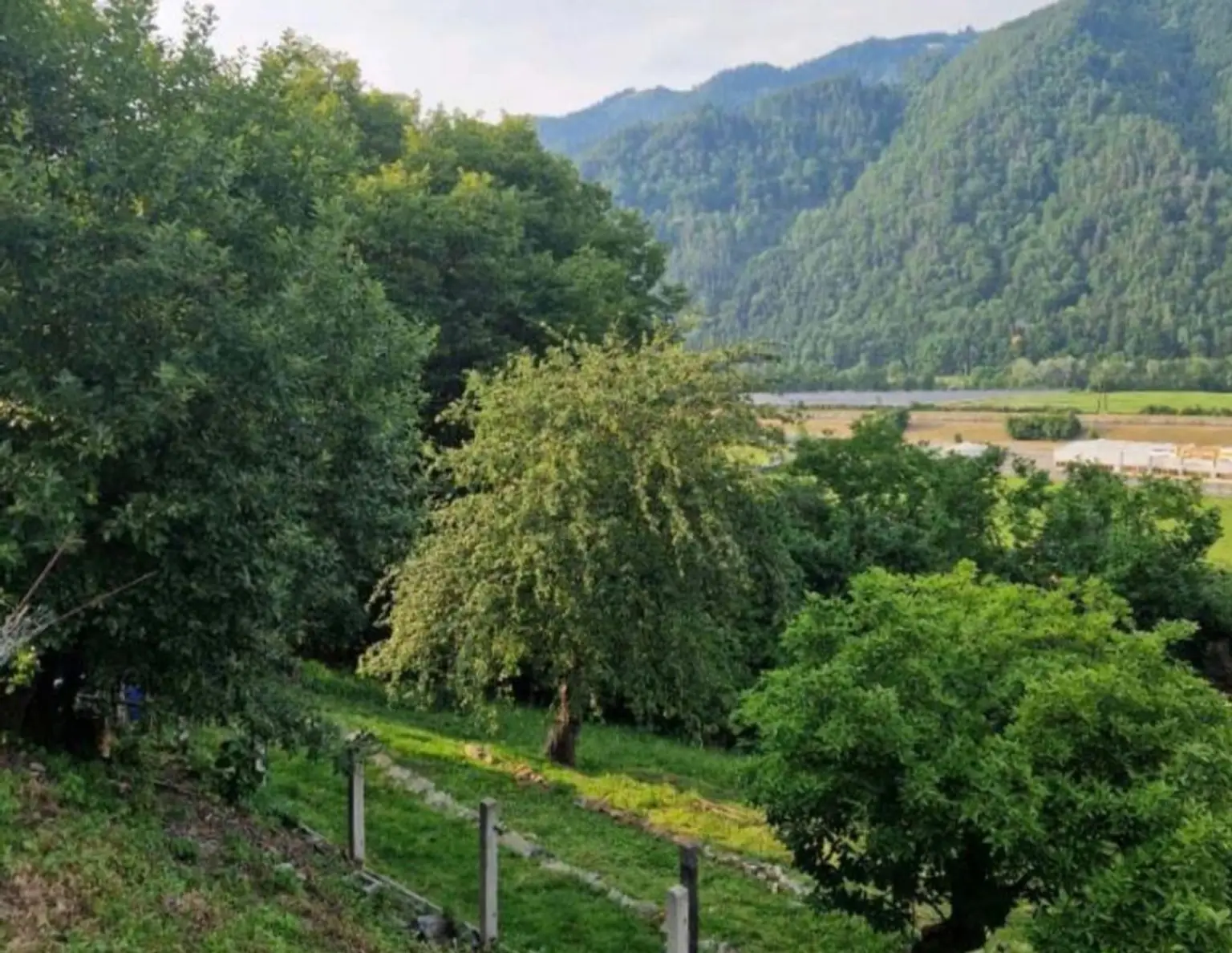 Grundstück mit Traumaussicht in Hanglage