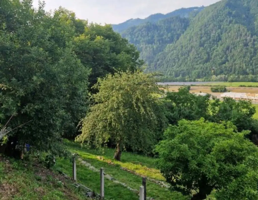 Grundstück mit Traumaussicht in Hanglage
