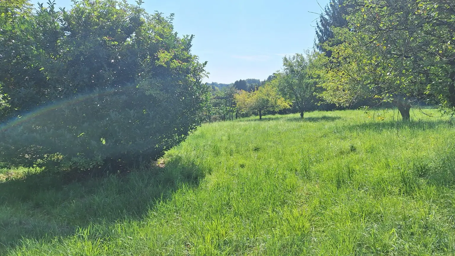 "Investieren Sie in Lebensqualität – 1.500 m² im Rasental!"