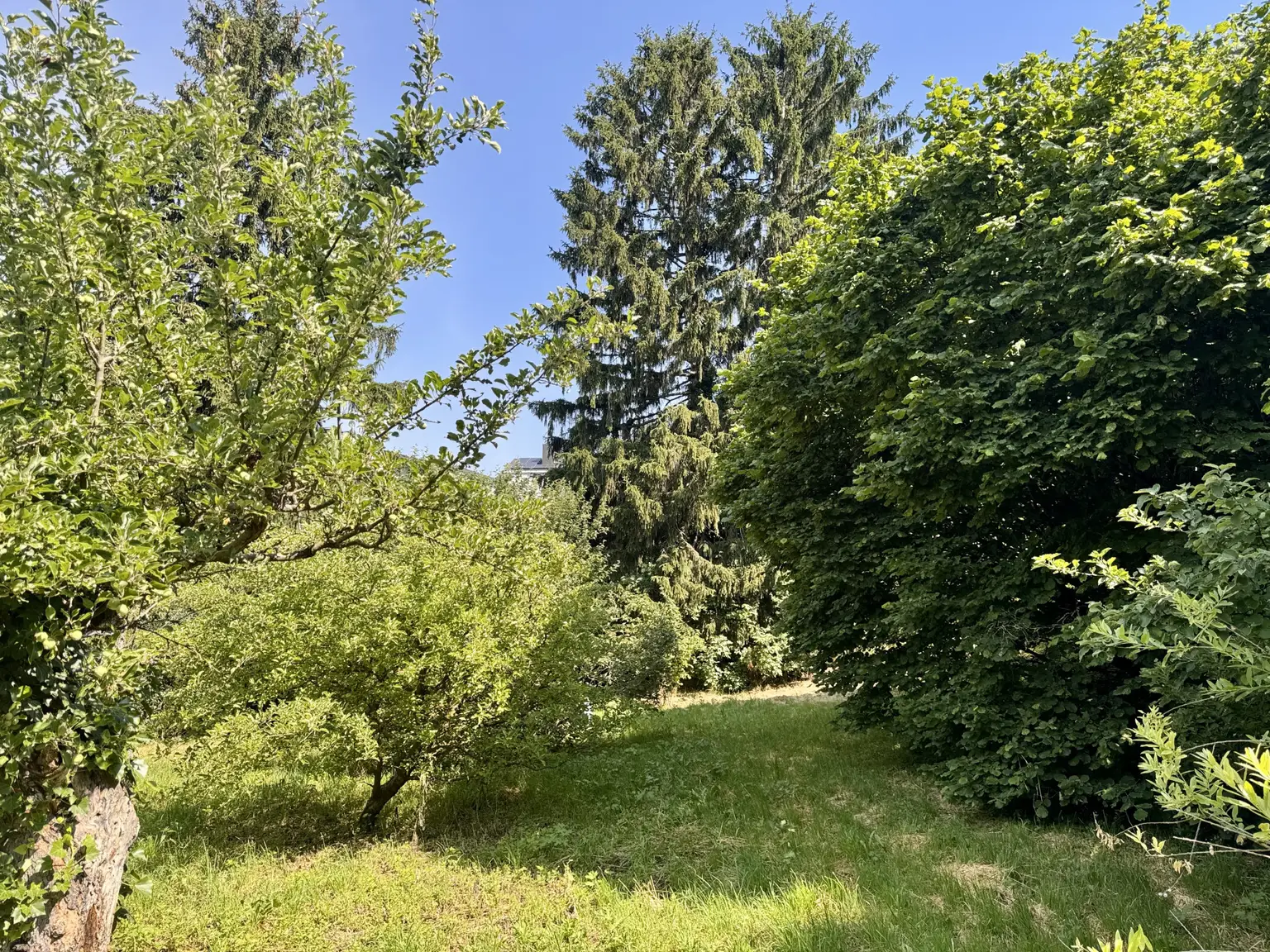 Garten 1