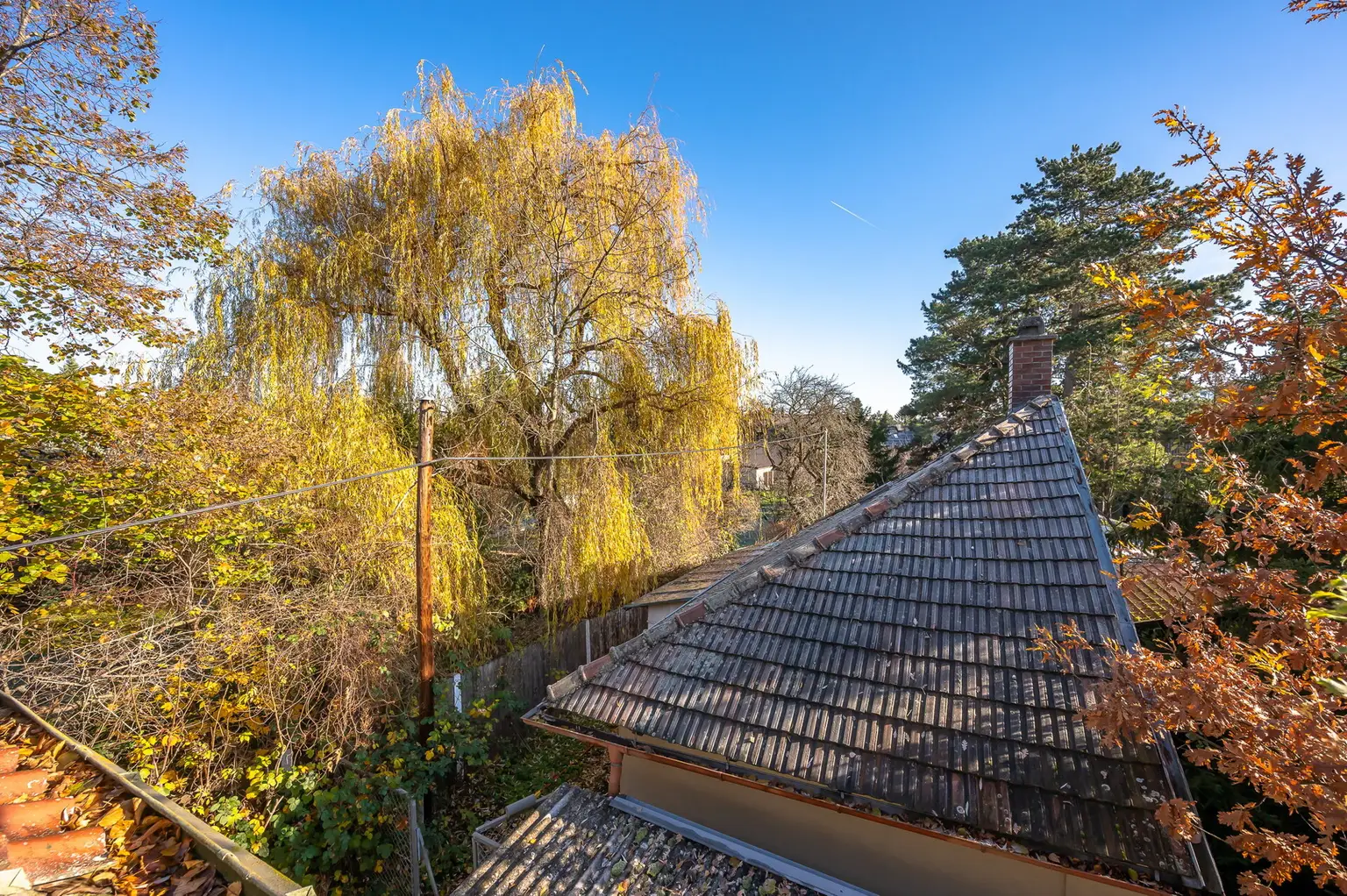 Ausblick vom Altbestand im Bauland