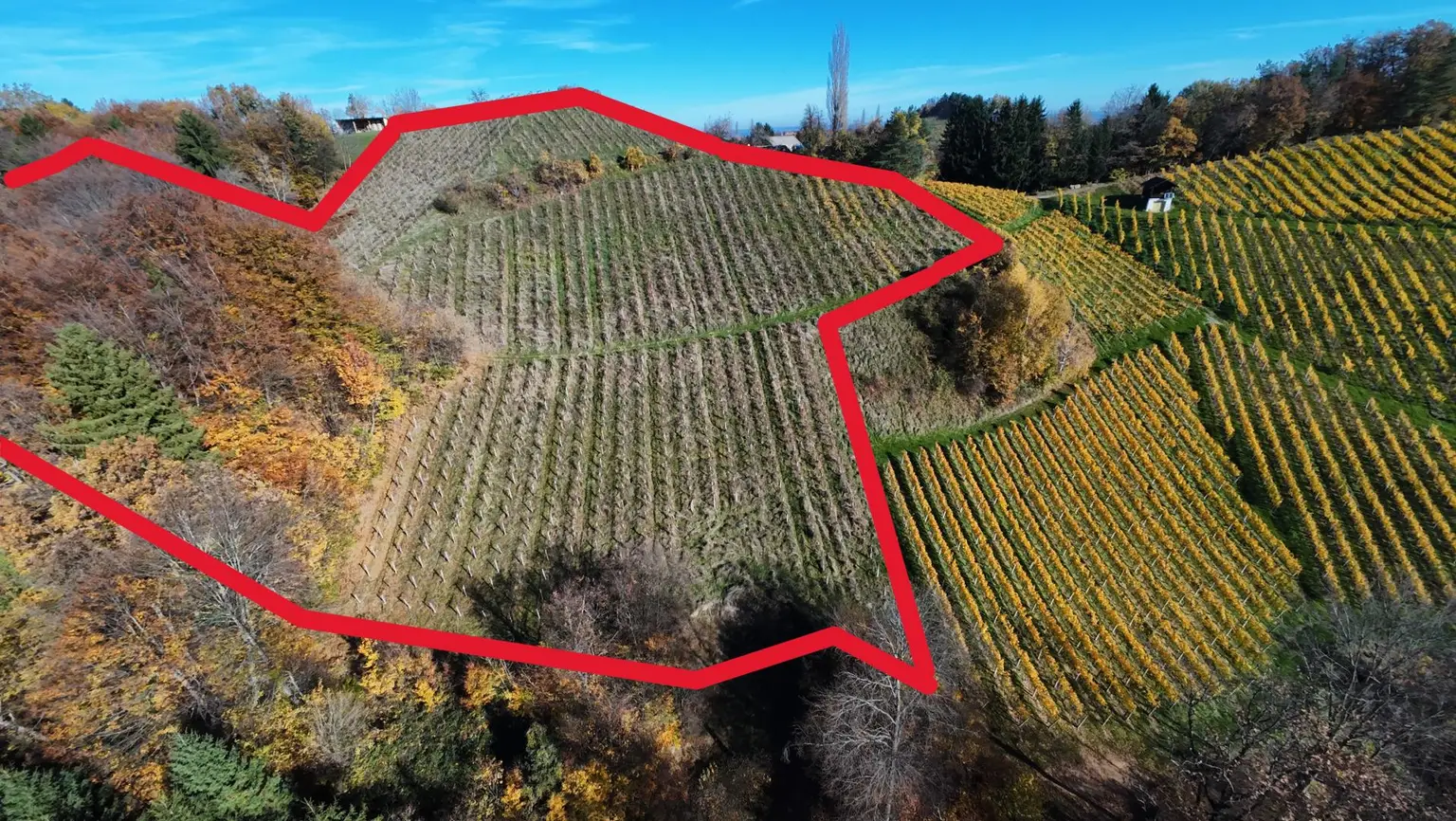 Weingarten mit Landwirtschaft und Altbestand in Kranach, Gemeinde Gamlitz