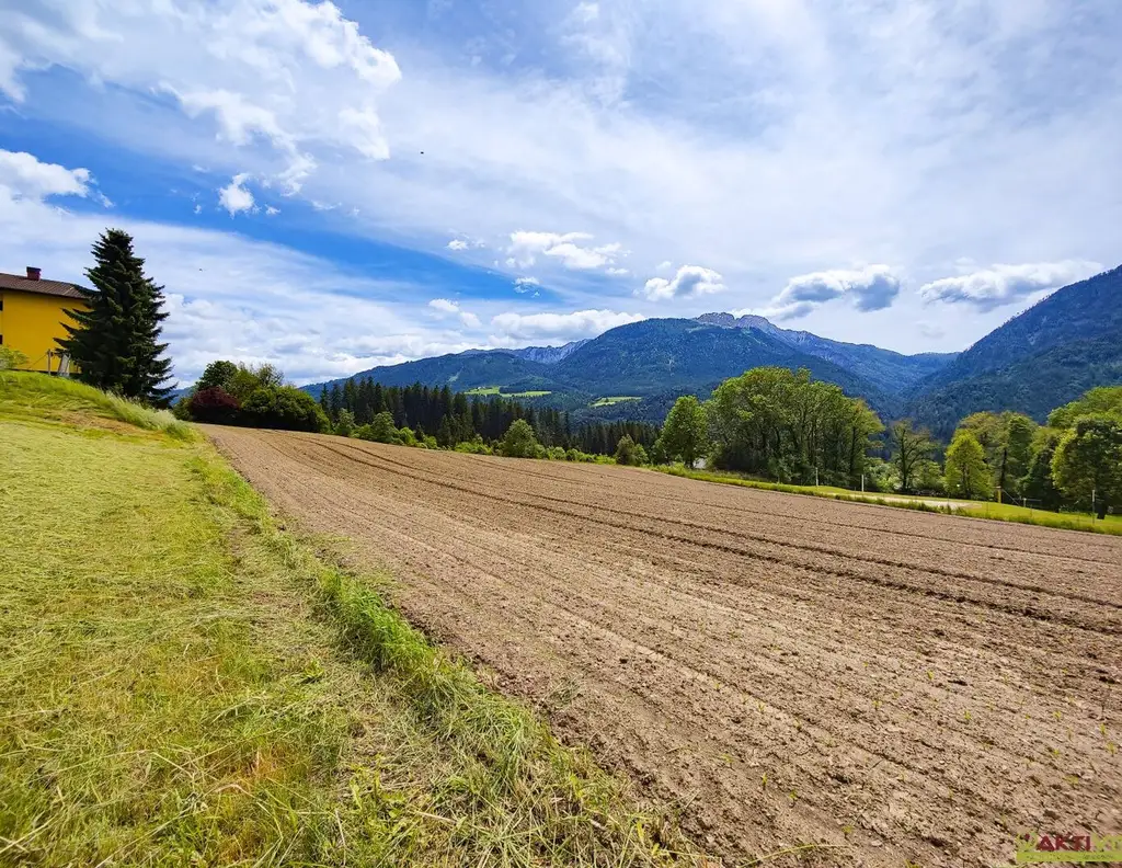 Großes Baugrundstück mit Grünblick in Berg im Drautal. - Zwei Parzellen, teilbar und Doppelhaus möglich.