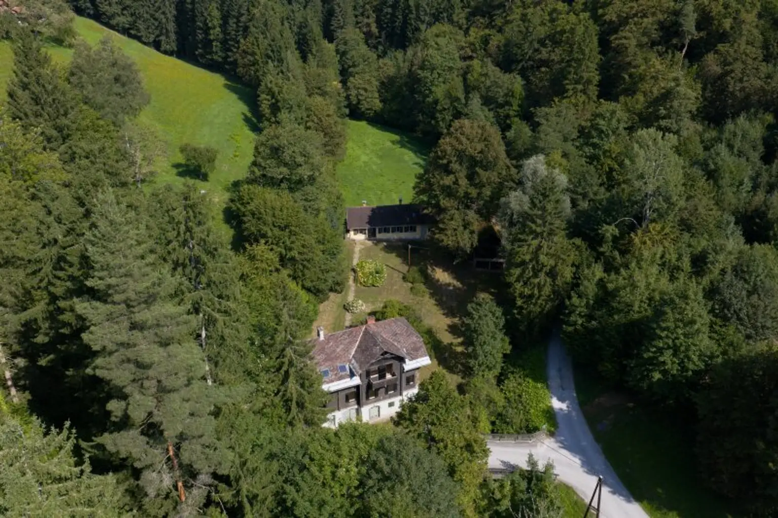 Ehemaliges Forsthaus mit Wirtschaftsgebäuden, allein und ruhig im Wald gelegen.