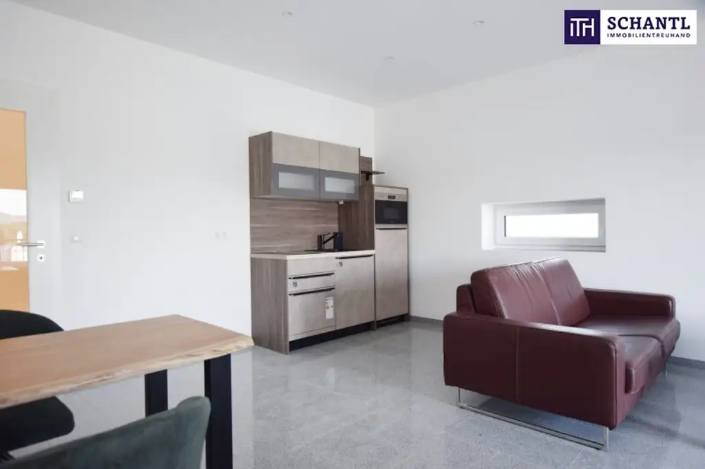 VOLLMÖBLIERTE Garconniere mit 45m² in der MALERISCHEN West-Steiermark! ERSTBEZUG ab sofort verfügbar!