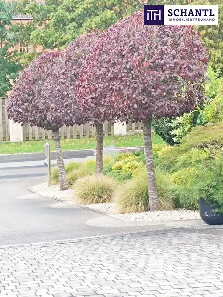 Exklusives Einfamilienhaus nahe der Gemeinde Sankt Bartholomä – Wohnen auf höchstem Niveau mit Erdwärme