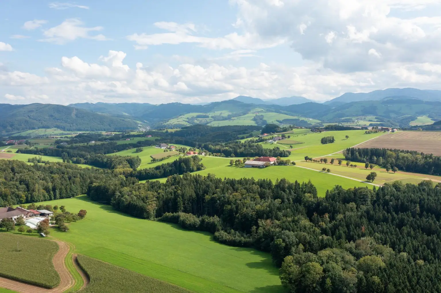 DJI_0041