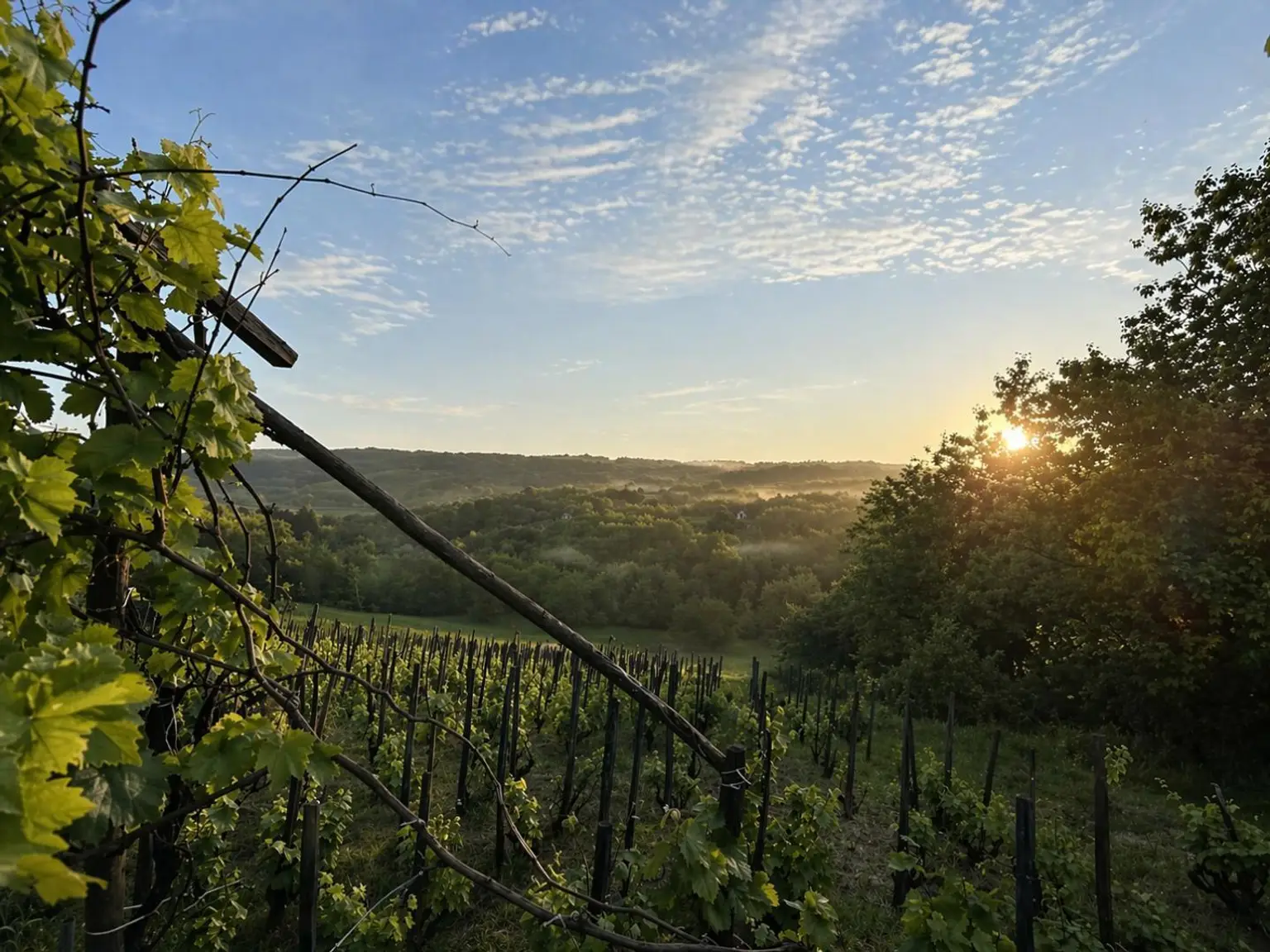Sonnenaufgang