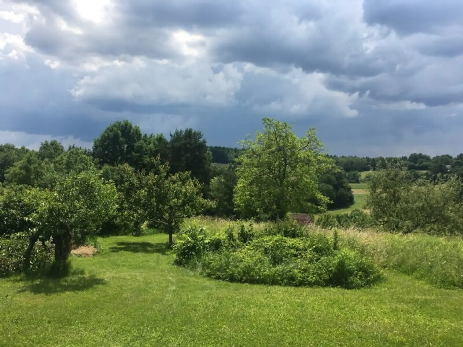 Großer Dreikant-Hof mit vielfältiger Nutzungsmöglichkeit; Wohngemeinschaft, Großfamilie, Seminare, landwirtschaftliche Aktivitäten