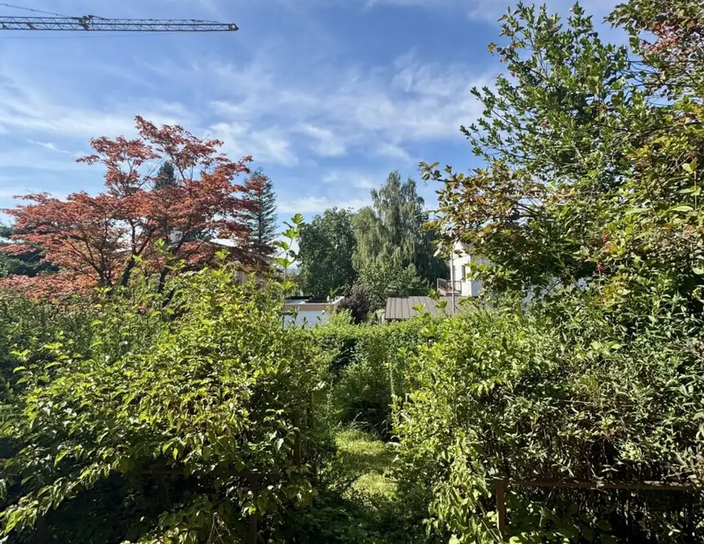 Sonniges Grundstück mit Altbestand in ruhiger Siedlungslage I Leonding