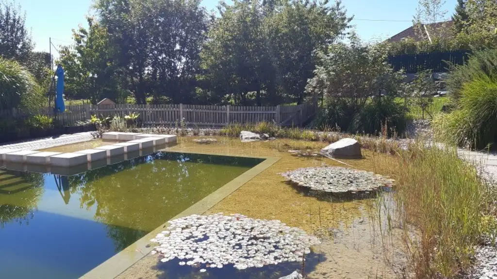 Modernes Einfamilienhaus mit exklusivem Schwimmteich/Naturpool