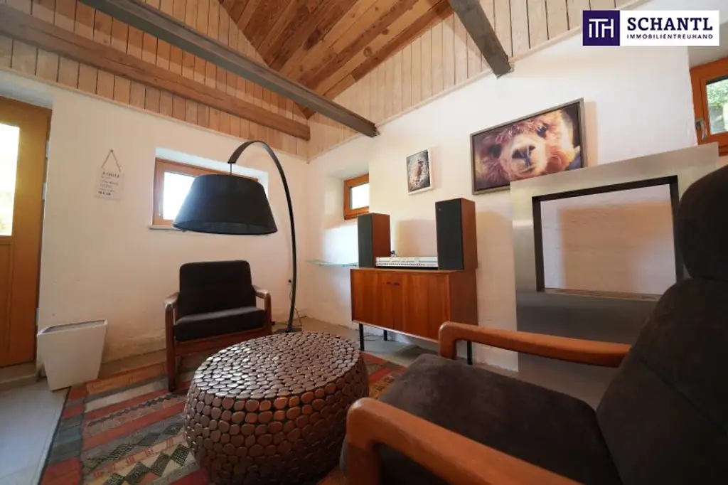 SENSATIONELLES JUWEL! Exklusiver Vierkanthof im Thermenland Steiermark – Wohnen, Reiten & Leben mit Pool und Natur!