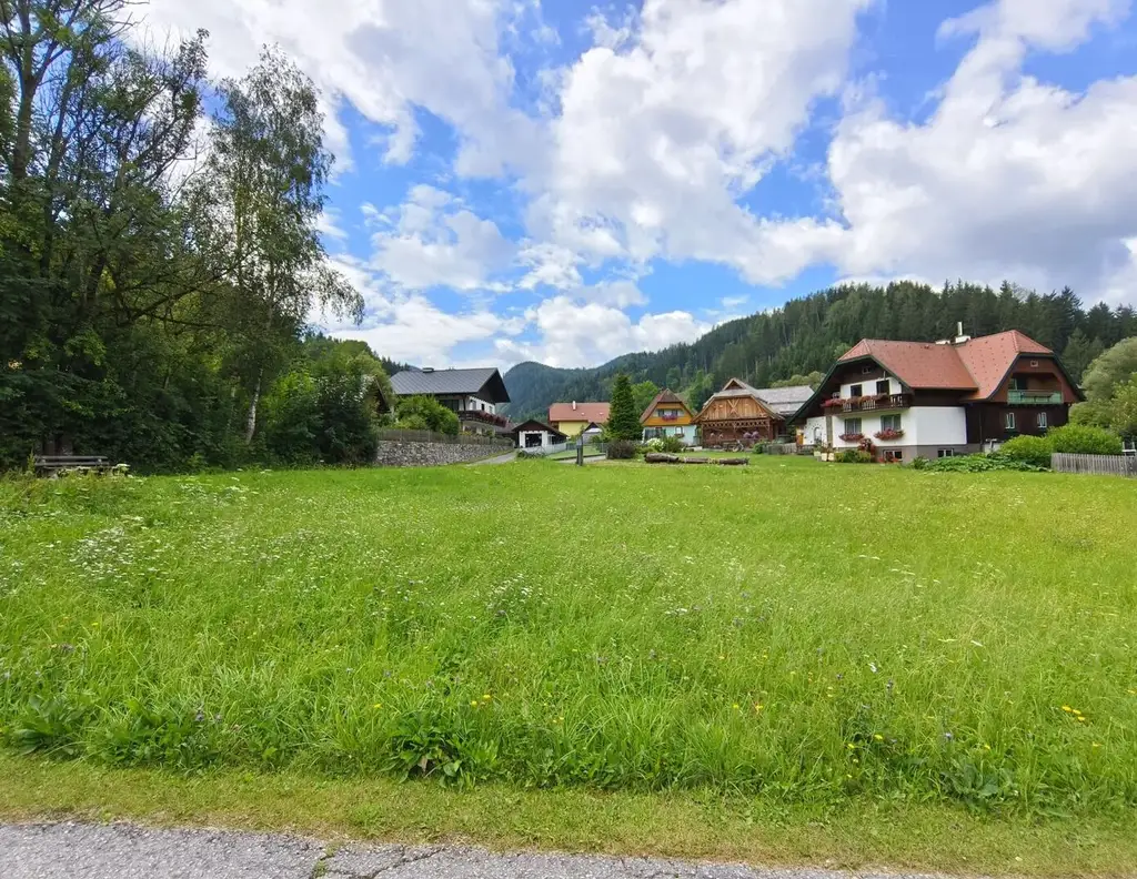 Traumhaftes Grundstück in Etmißl zu Verkaufen - Provisionsfrei für die Käufer!