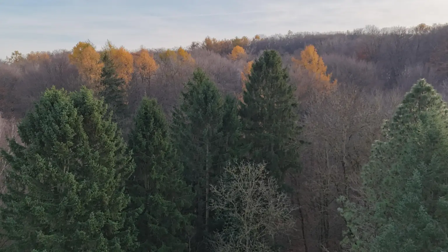 "Außergewöhnliche Mietwohnung im Grünen"