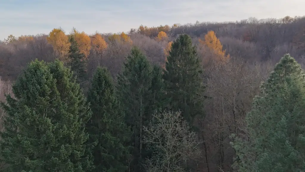 "Außergewöhnliche Mietwohnung im Grünen"