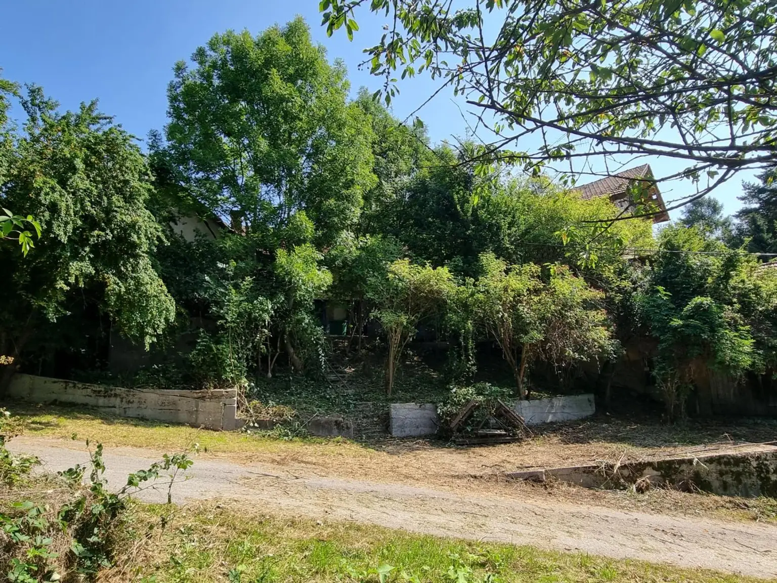 LANDWIRTSCHAFT VOR DEN TOREN WIENS