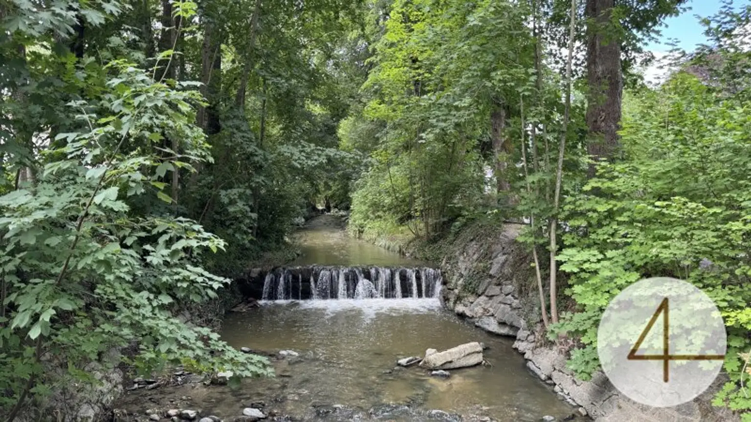 Natur pur vor der Türe