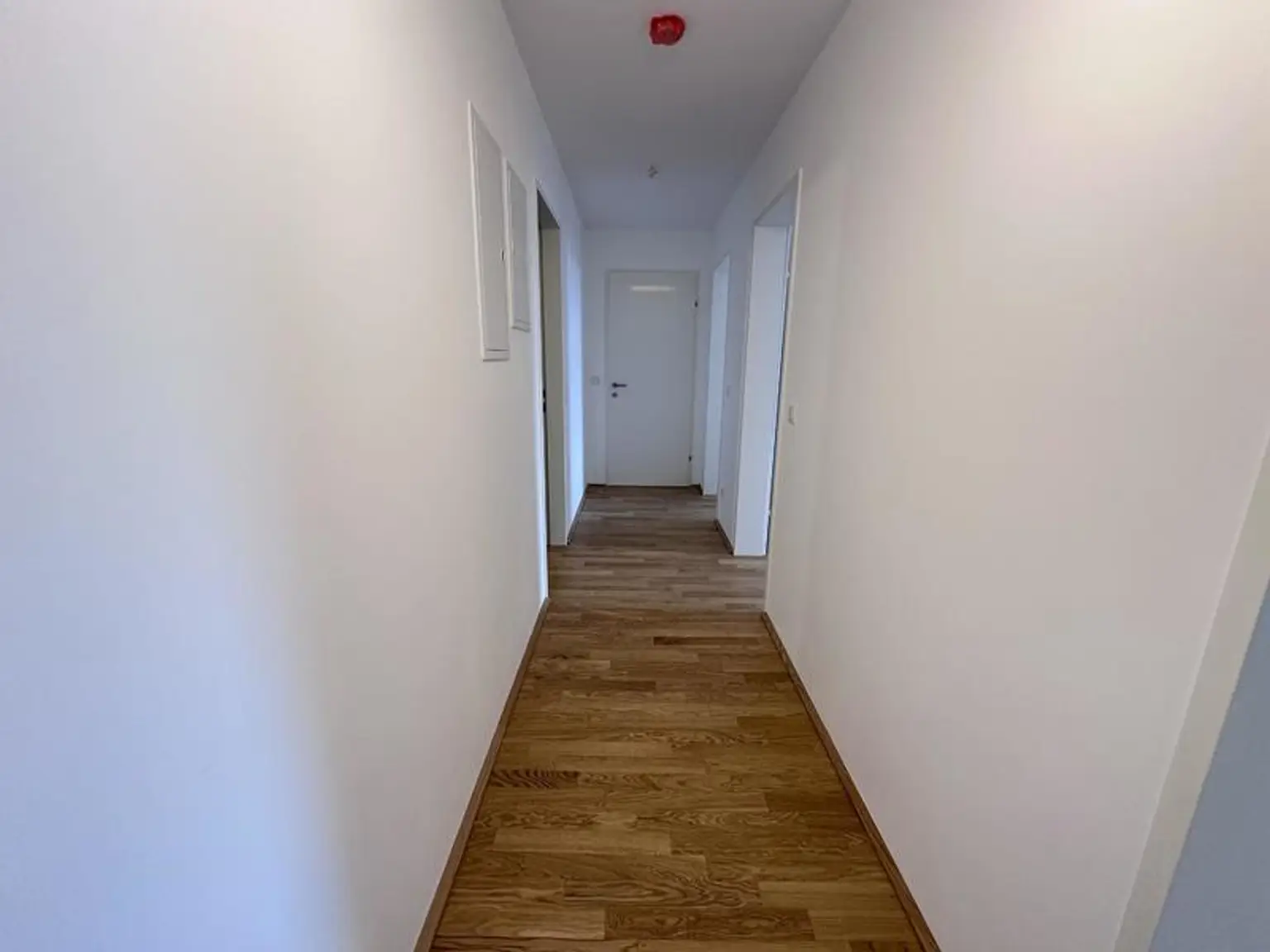 einen Katzensprung von Wien entfernt MIETE