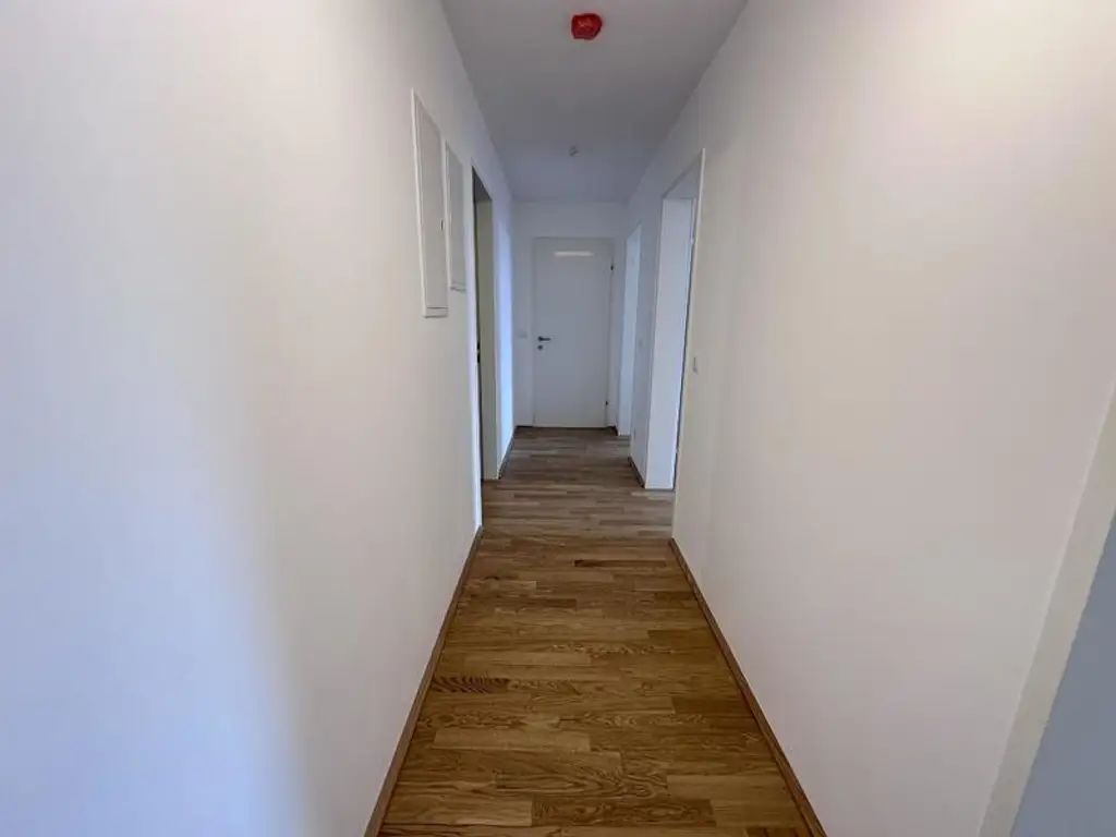 einen Katzensprung von Wien entfernt MIETE