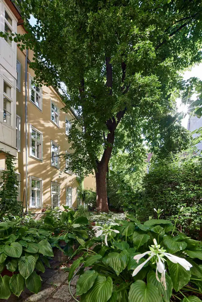 Klassisches Wiener Zinshaus mit ausgebautem Dachgeschoß in der Millergasse