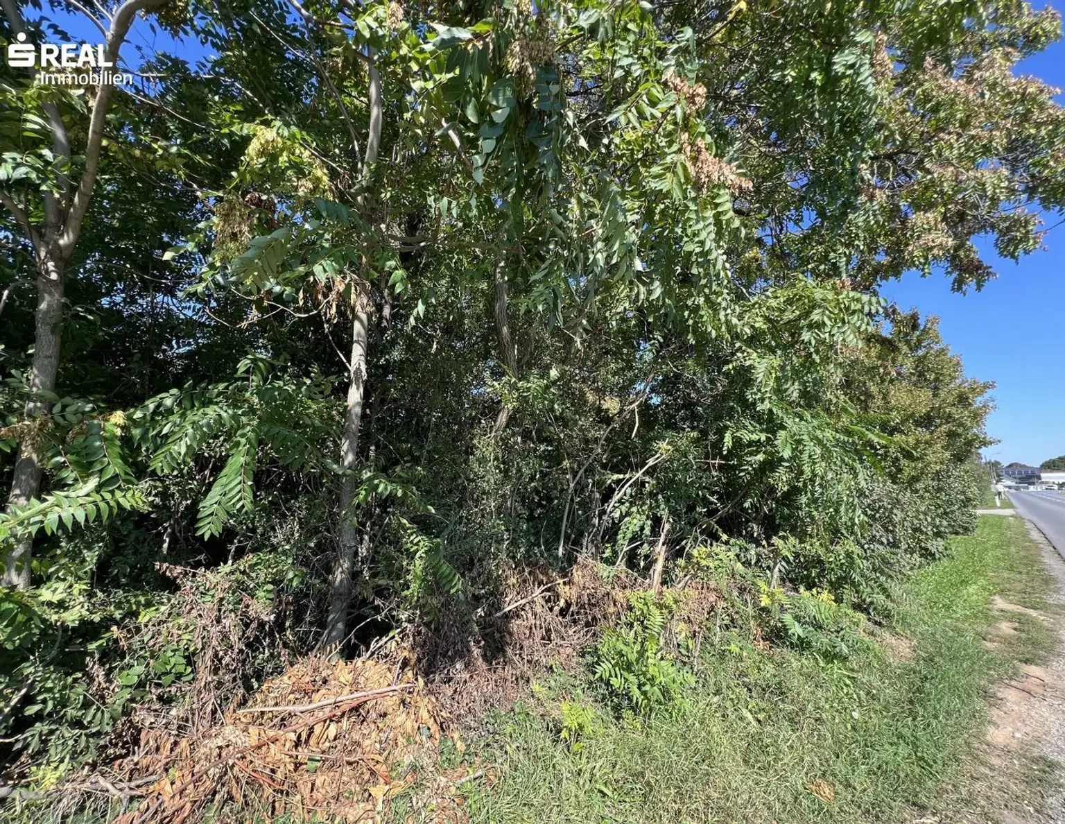 Baugrundstück in Top-Lage - perfekt für Familien