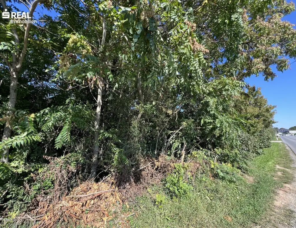 Baugrundstück in Top-Lage - perfekt für Familien