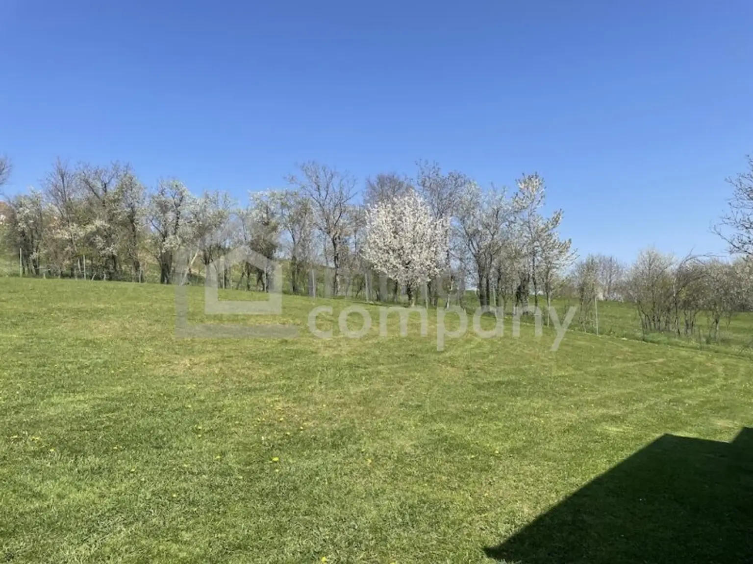 Grenznaher Familienhit - 1-2 Wohneinheiten - super gepflegt - viele Highlights