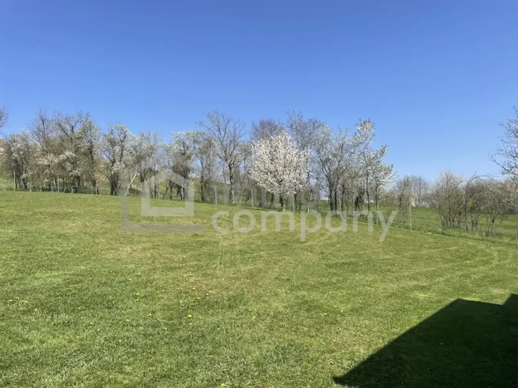 Grenznaher Familienhit - 1-2 Wohneinheiten - super gepflegt - viele Highlights