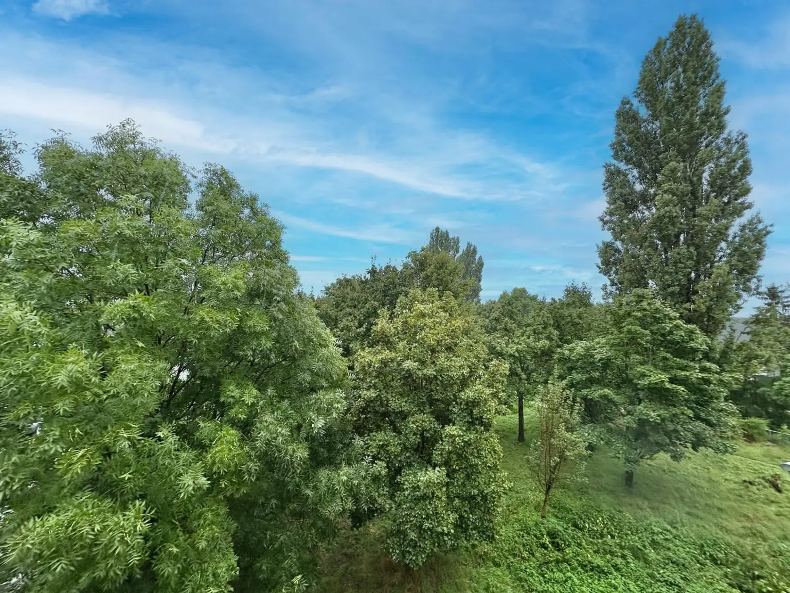 Am Liesingbach: Maisonette mit sonniger Terrasse
