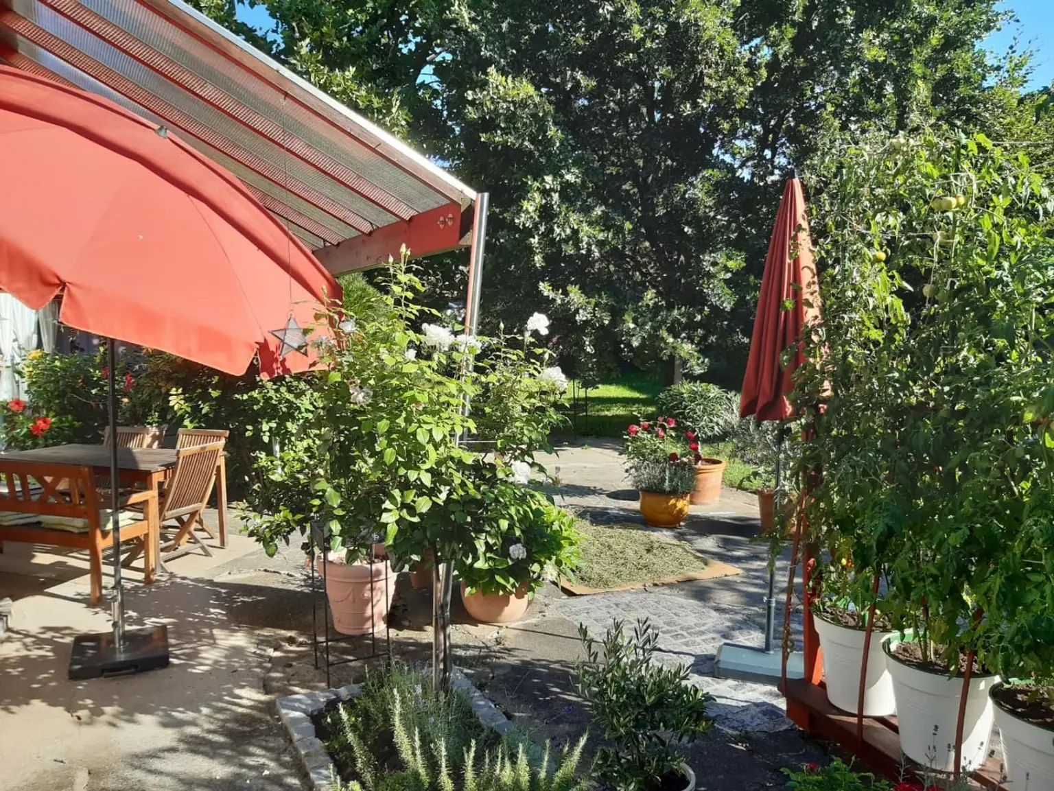 Sitzplatz_Sommer