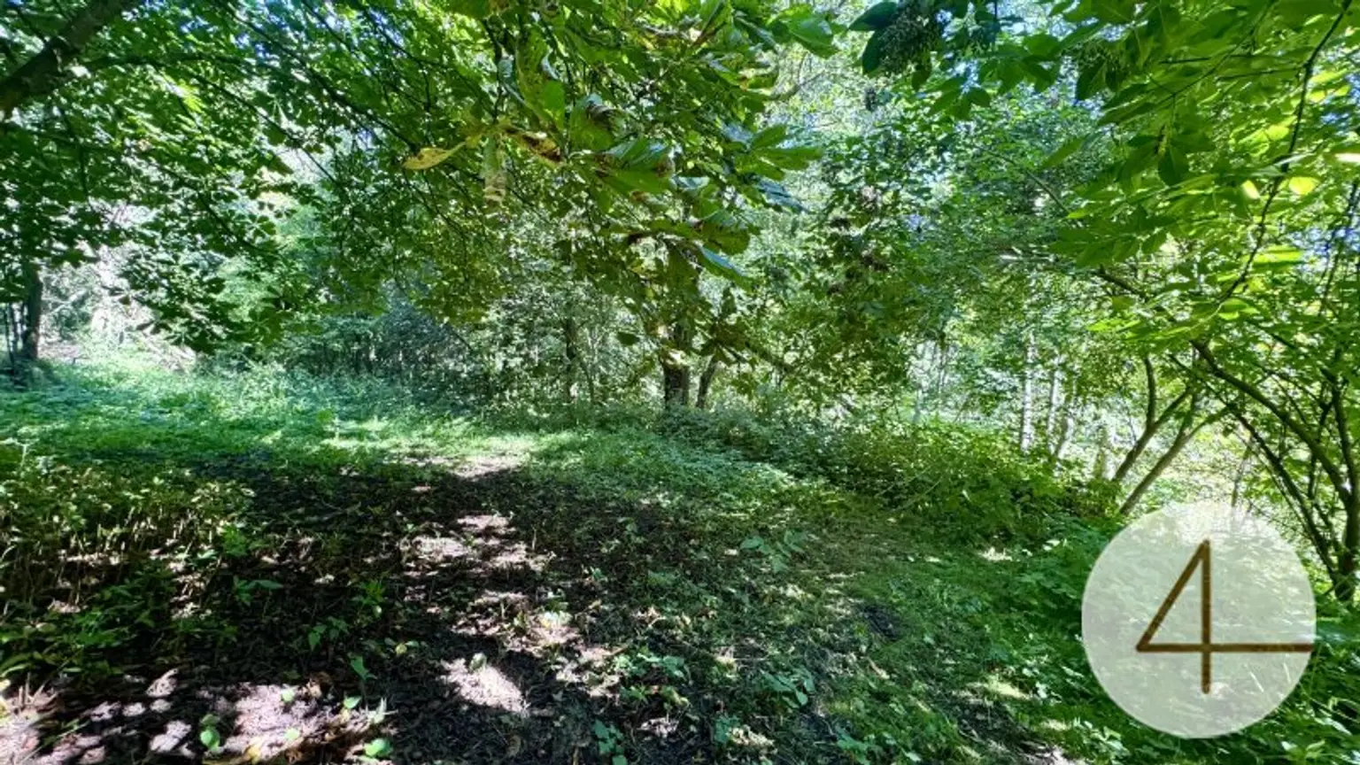 Ein versteckter Schatz im Waldviertel