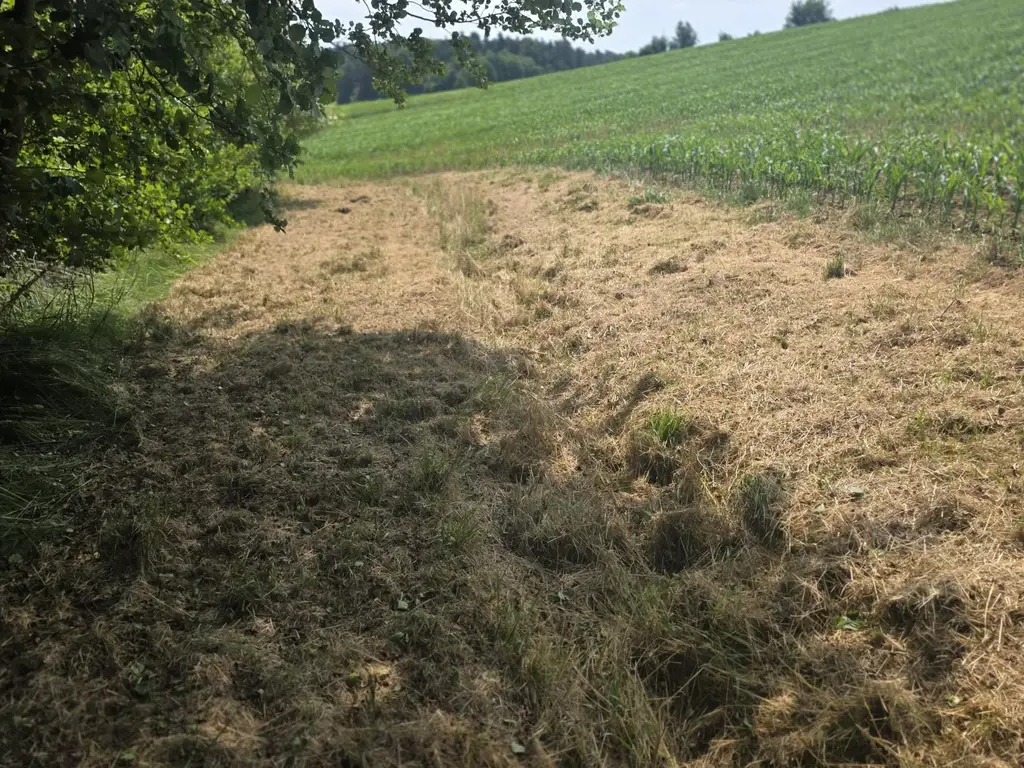 Bauernhaus (stark sanierungsbedürftig) mit viel Grund und kleinem Teich