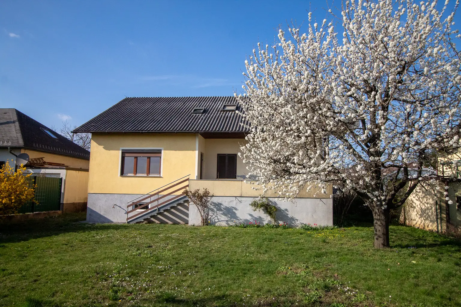 Blick vom Garten zum Haus