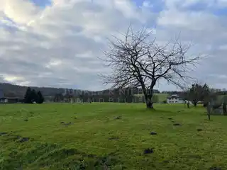 Blick auf die Felder und Wald