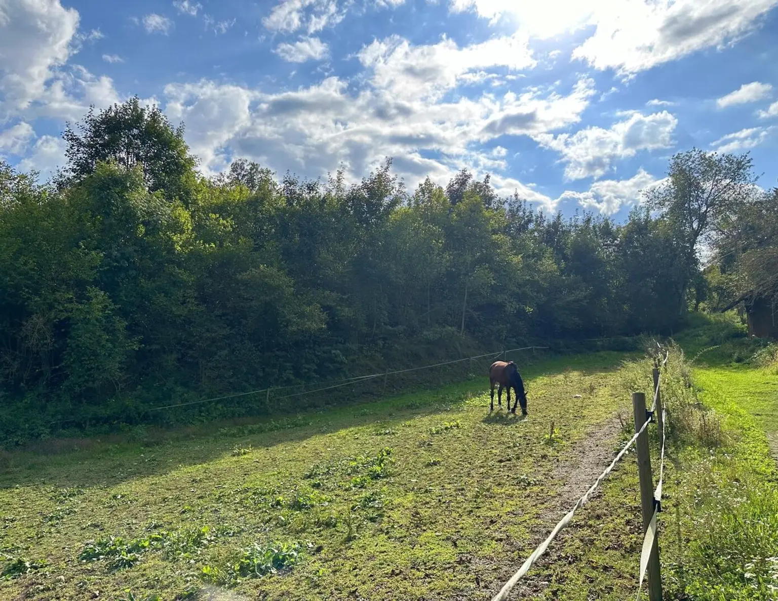 Attraktives Baugrundstück im Norden Klagenfurts