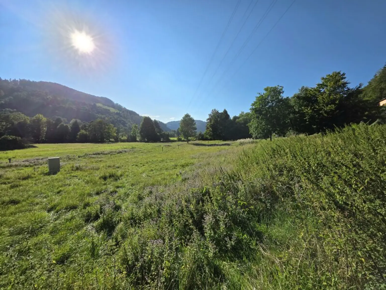 Sonniges Wohnerlebnis mit schöner Aussicht!
