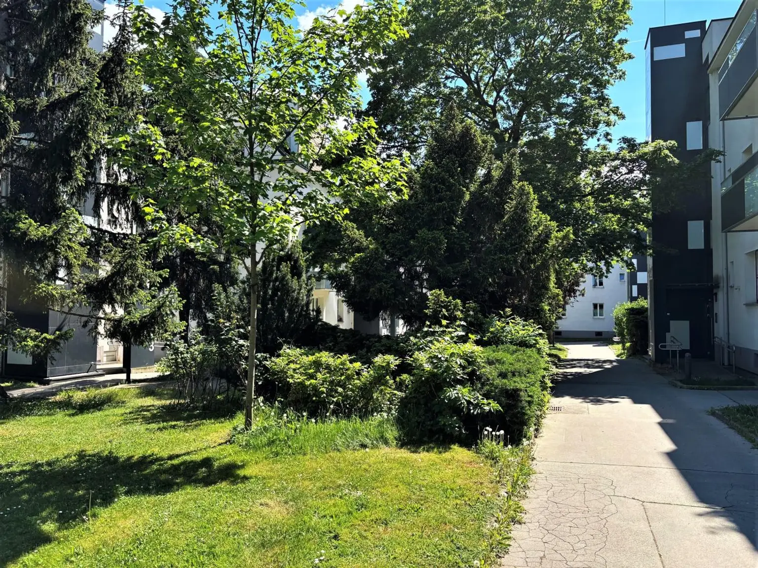Gemeinschaftsgarten