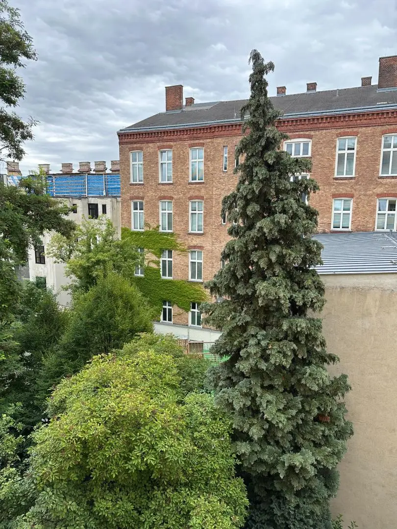 Günstiger 1-Zimmer Singlehit