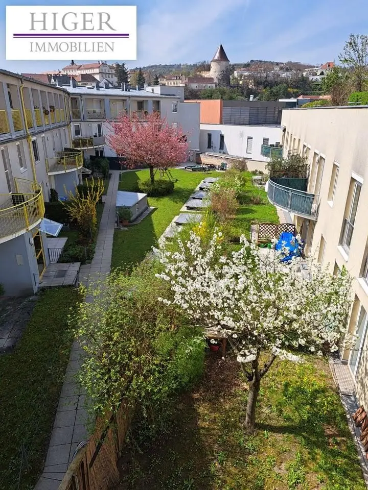 Stadtwohnung mit lieblichen Gartenanteil!