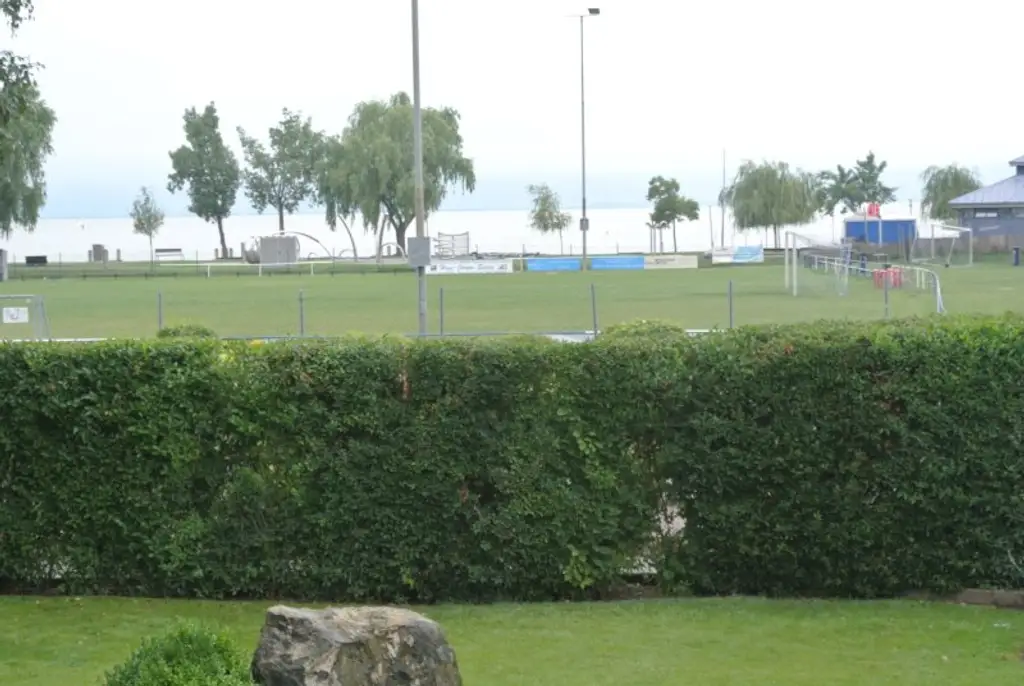 Träume werden wahr- Ihr Haus am Neusiedlersee, 1.Reihe- Seeblick- Bergblick- Aussicht PUR