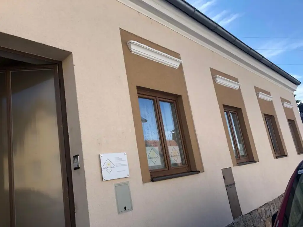 +Einzigartiges Einfamilienhaus mit Nebengebäude in Enzesfeld-Lindabrunn+