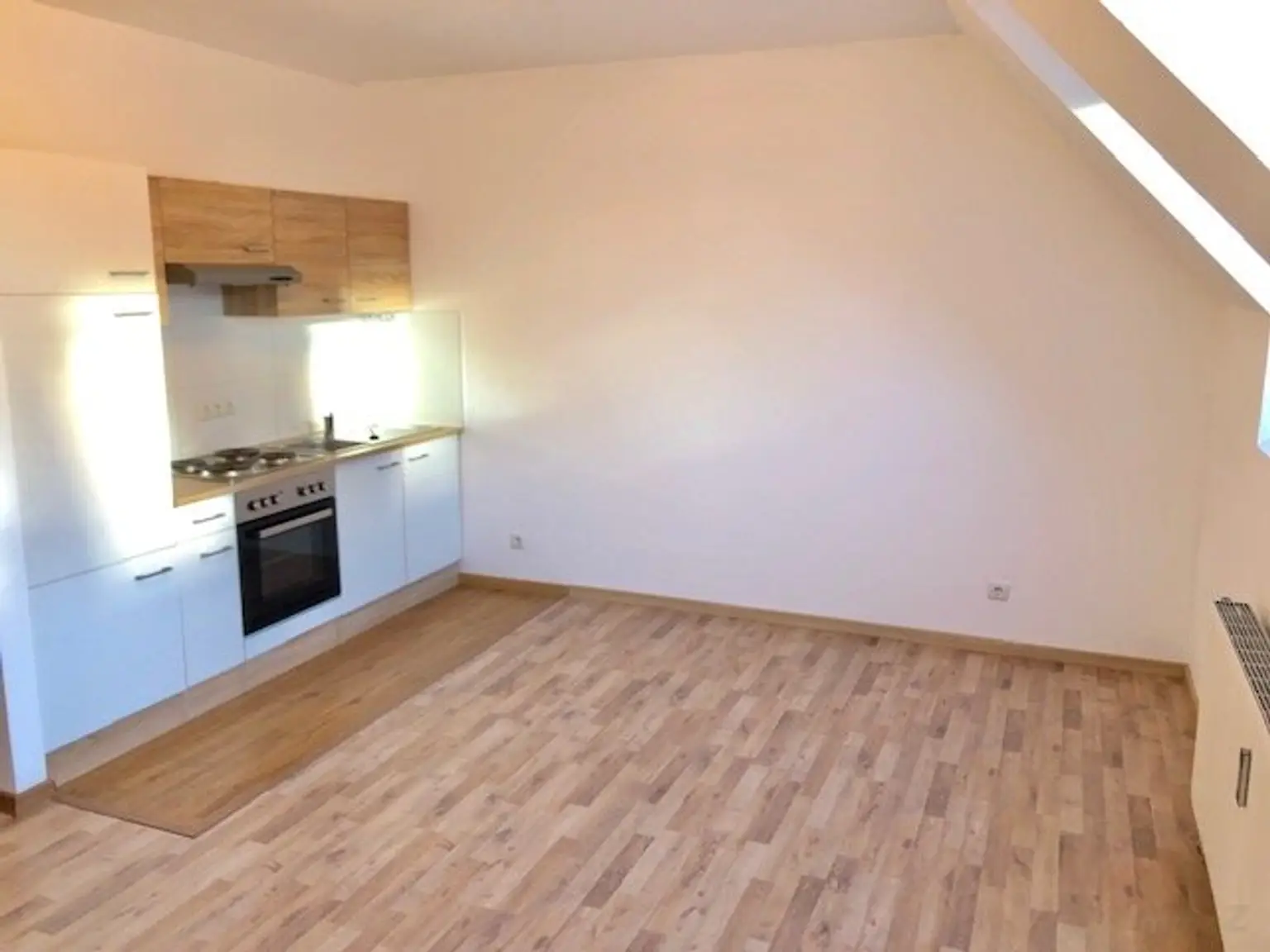 Wohn-Schlafraum mit offener Küche