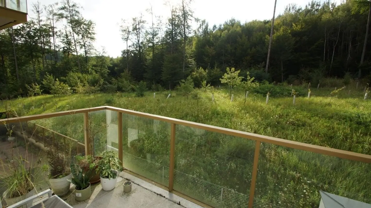 14 Ausblick Balkon MTW 3004