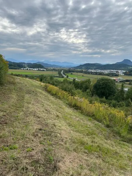 2,7 Ha Land- und Forstw. -Grundstück mit Widmungpotenzial , zzt Pferde Weide mit Stall & Quelle,  in traumhafter Lage in Kärnten -  für 249.000,00 € zu haben!