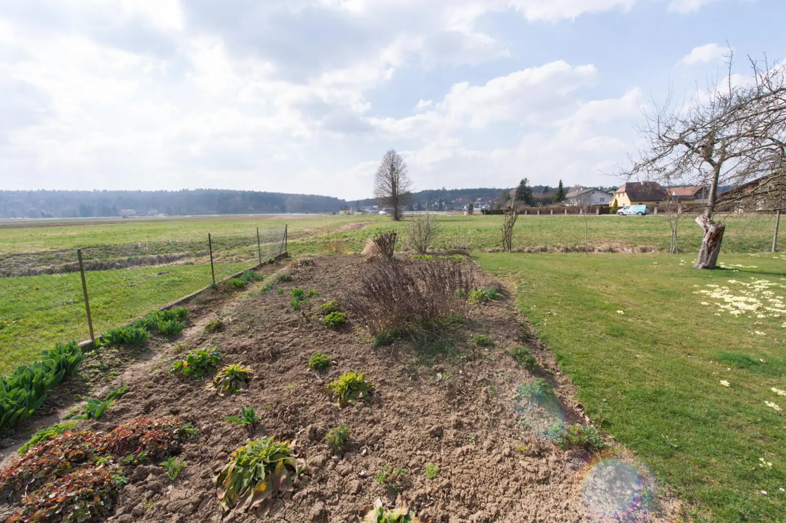 Wörth an der Lafnitz-48