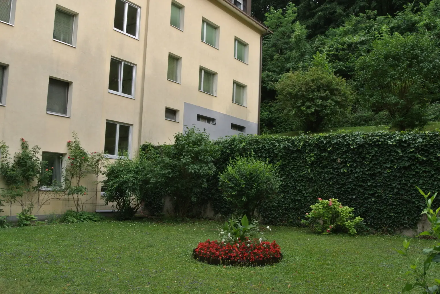 3 Zimmer Wohnung