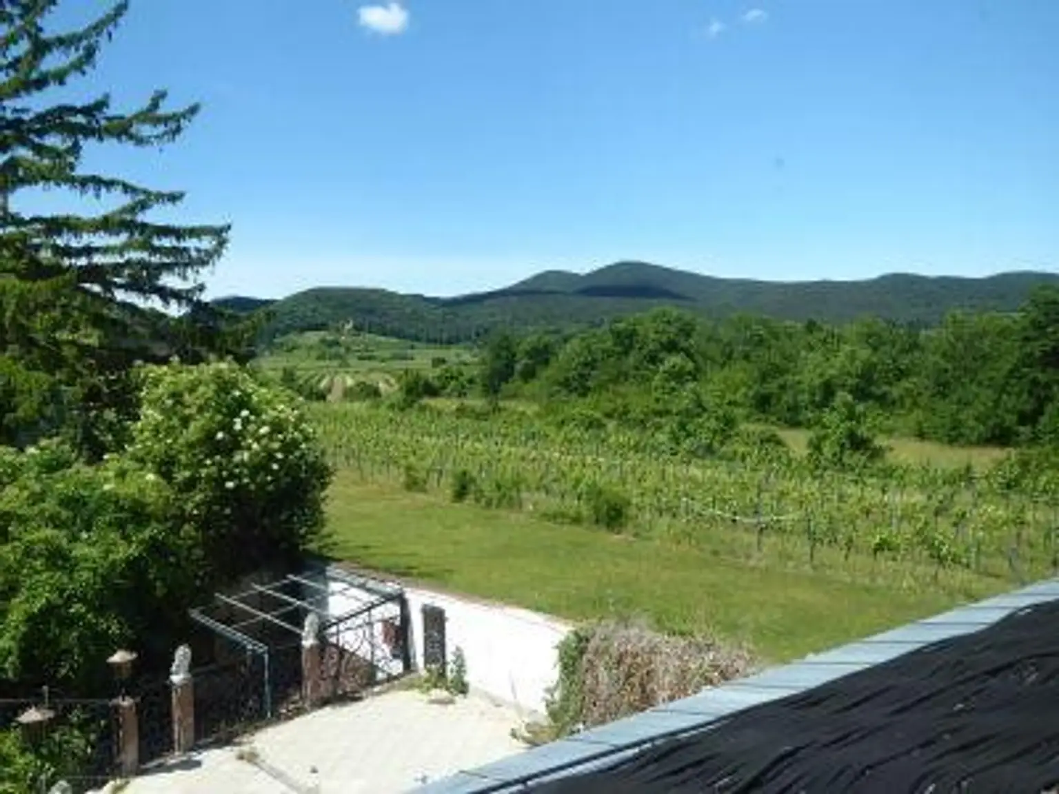 Ausblick